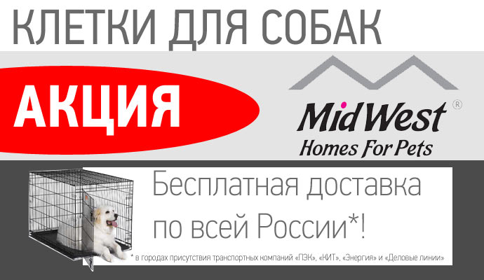 http://www.mrgav.ru/sites/default/files/midwest_free_delivery.jpg
