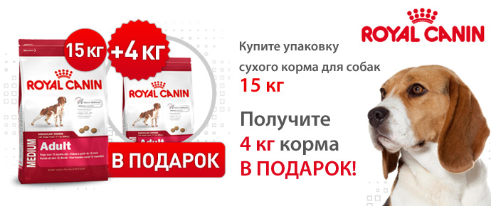 Роял канин подарок контейнер для корма Роял канин подарок контейнер для корма