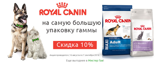 Скидка 10% на большие упаковки Royal Canin!