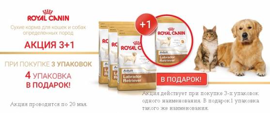 Royal Canin: 3+1 упаковка в подарок!