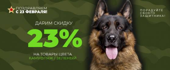 Дарим 23% в День защитника Отечества!