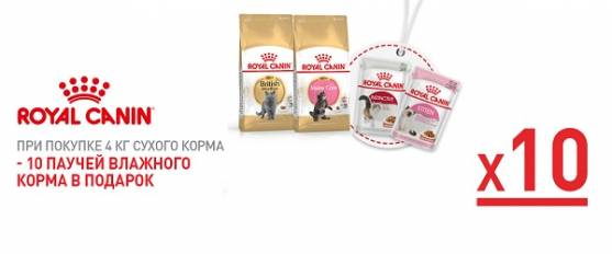 При покупке 4 кг или 2 уп. по 2 кг Royal Canin для кошек – 10 паучей в подарок!