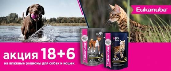 При покупке 18 паучей Eukanuba - 6 паучей в подарок!