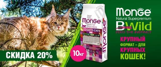 Скидка 20% на Monge Bwild Grain Free для крупных кошек