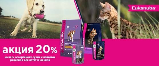 -20% на корм Eukanuba для щенков и котят