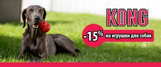 Скидка 15% на игрушки Kong!