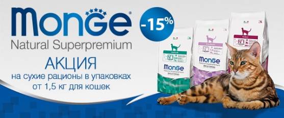 Распродажа кормов Monge для кошек!