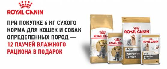 При покупке 6 кг сухого корма для кошек и собак определенных пород Royal Canin - 12 паучей в подарок