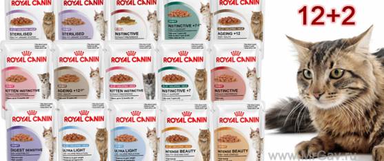 12+2 паучей Royal Canin