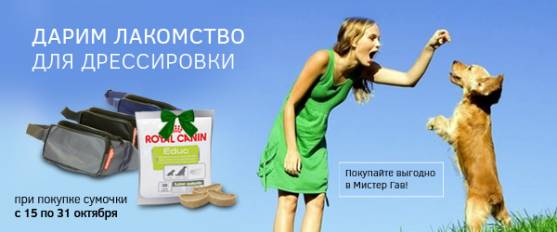 При покупке сумочки – лакомство для дрессировки в подарок!
