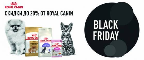 Черная пятница вместе с Royal Canin!