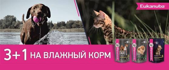 Паучи Eukanuba 3+1!