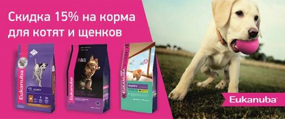 Скидка 15% на корма Eukanuba для щенков и котят