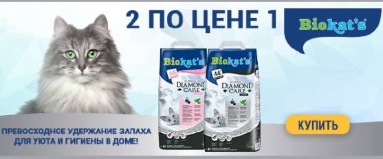 Акция 1+1 на наполнители BIOKAT'S!