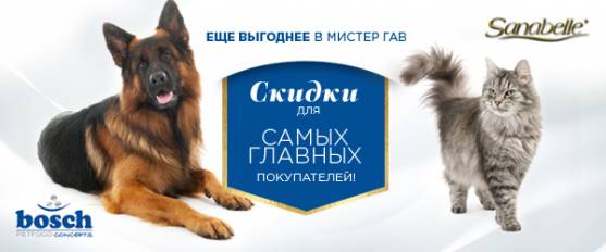 Скидка 10% на корма Bosch и Sanabelle