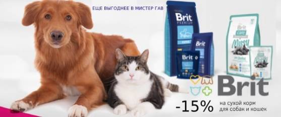 Скидка 15% на корм Brit Care