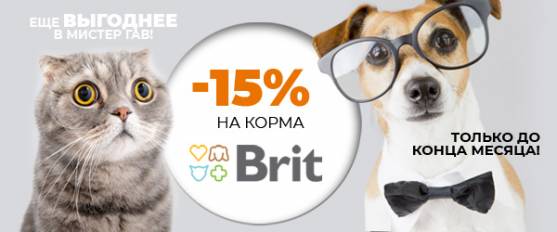 -15% на корма Brit Care!