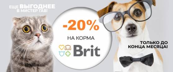 Скидка 20% на Brit Premium!