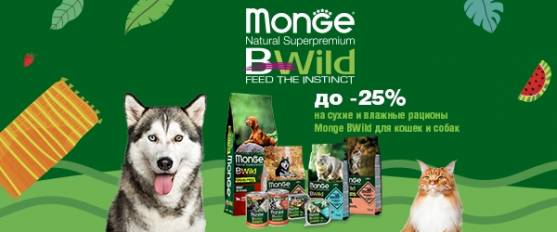 Скидка 25% на корма Monge Bwild 