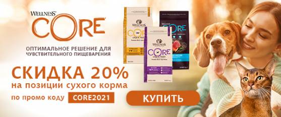 Промокод на скидку 20% на Wellness Core!