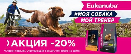 Скидка 20% на корма Eukanuba 