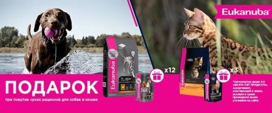 Паучи в подарок при покупке Eukanuba!