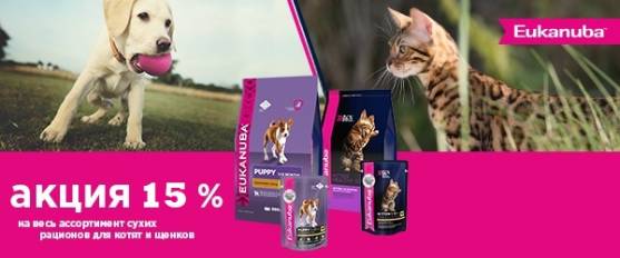 -15% на корма Eukanuba для щенков и котят