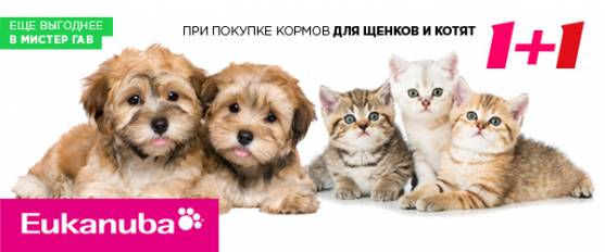 1=2 при покупке корма для щенков и котят Eukanuba
