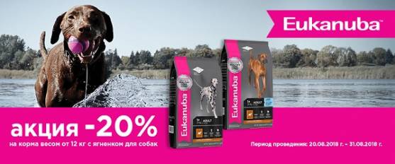 Скидка 20% на корма EUKANUBA с ягненком!