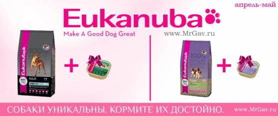 Eukanuba: консерва в подарок