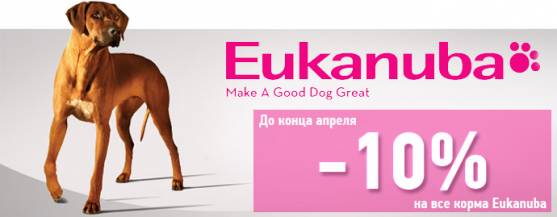 Распродажа кормов Eukanuba