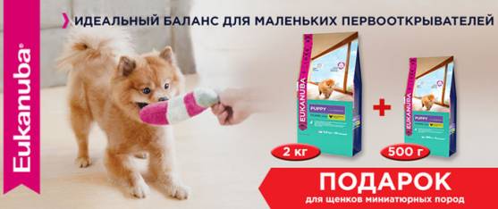 Упаковка 500 г в подарок при покупке 2 кг Eukanuba для щенков миниатюрных пород!