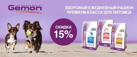 Сухие корма Gemon со скидкой 15%!