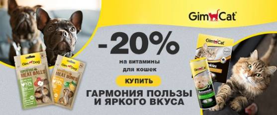 Скидка 20% на витамины GimCat для кошек