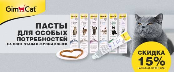 Пасты GimCat со скидкой 15%!