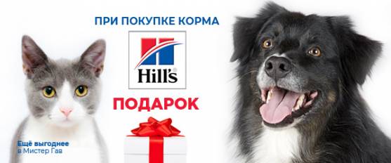 Лакомство в подарок при покупке корма Hill's