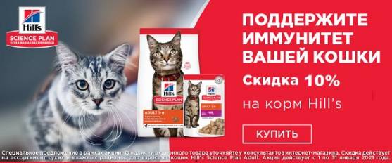 -10% на рационы для собак и кошек Hill's