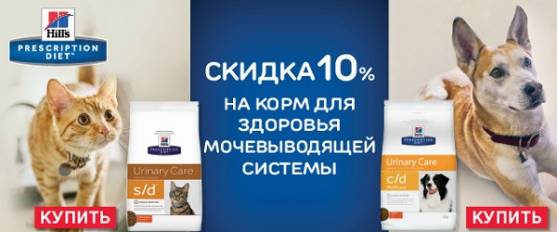 Скидка 10% на лечебный корм Hill's