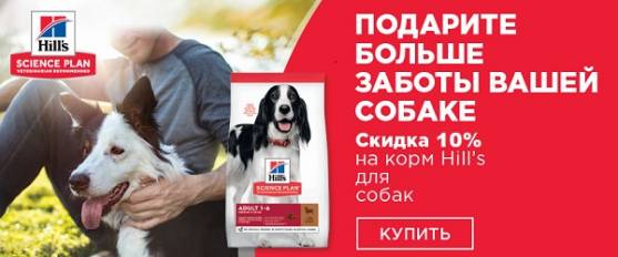 Скидка 10% на корма Hill's для собак! 