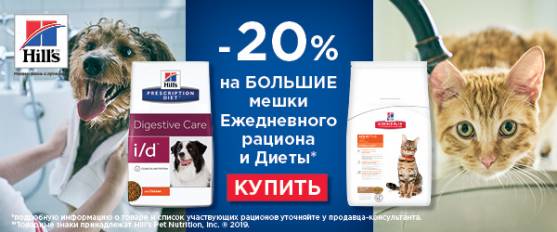 Скидка 20% на большие фасовки Hill's!