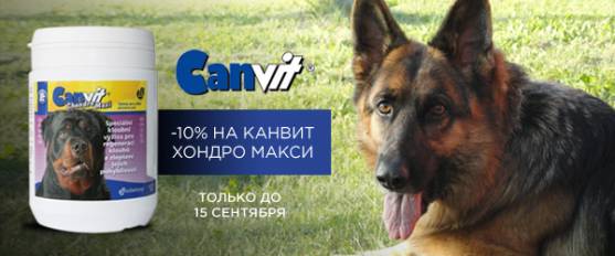 Скидка 10% на Канвит Хондро Макси