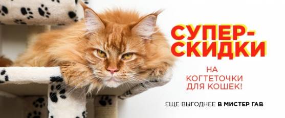 Скидка 20% на когтеточки для кошек!