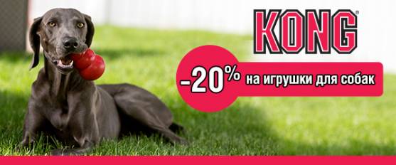 Скидка 20% на резиновые игрушки Kong!