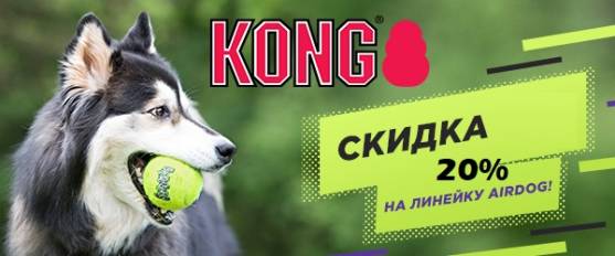 Скидка 20% на игрушки Kong Air!