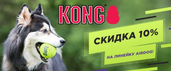 Скидка 10% на игрушки Kong AirDog