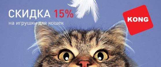 -15% на все игрушки Kong для кошек!