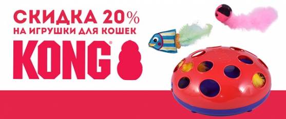 Домашний Cat-Kong оценит Kong! Игрушки для кошек со скидкой 20%!