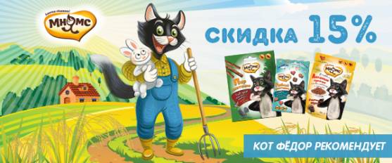 Кот Фёдор со скидкой 15%!