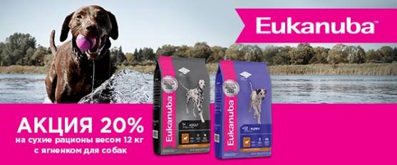 Скидка 20% на корм Eukanuba с ягненком!