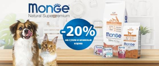 Скидка 20% на корма Monge для кошек и собак!